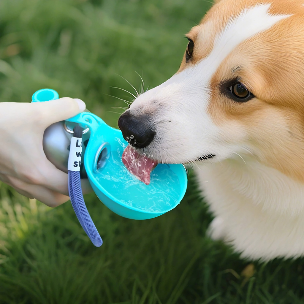 PetliSphere®